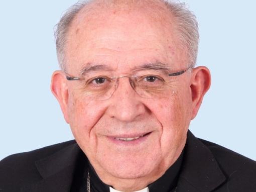 Gil Hellín, Francisco